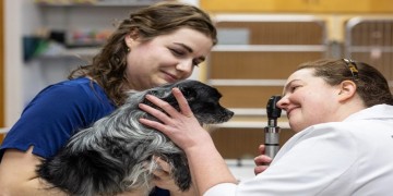 Allenstown Animal Hospital